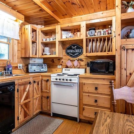 Quaint & Secluded Near Dollywood With Bbq&Hot Tub Villa Pigeon Forge Exteriör bild